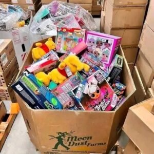 Wholesale Toy Pallet - L.O.L. Surprise Spirit Queen, LOL OMG, Star Wars Boba Fett, Winnie The Pooh, Nerf | Walmart / Target Overstock | PalletReturnsUK
